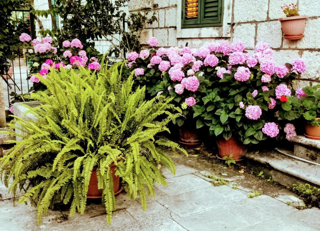 Apartments Sensa دوبروفينك المظهر الخارجي الصورة